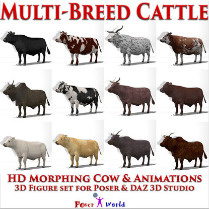 Cattle Multi- Breed (morphing cow figure & 12 cattle breed pose set for Poser