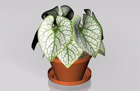 Picture for category 3D Plant Model FBX format | 3D Tree Model FBX Format