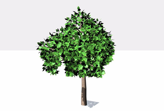 Picture of Catalpa Tree Model FBX Format