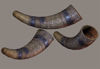 Picture of Ceremonial Drinking Horn Model Poser Format