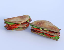Double Decker BLT Sandwich Model Poser Format