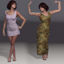 Picture of Dynamic Dress Set 1 for Smith Micro Pauline Poser Format