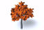 Picture of Fall Maple Tree Model FBX Format