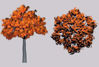 Picture of Fall Maple Tree Model FBX Format