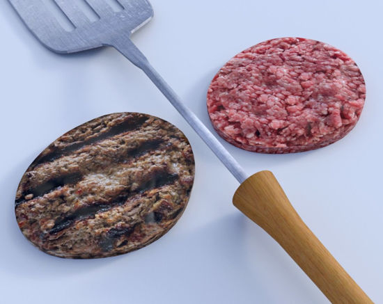 Picture of Hamburger Patties and Grill Spatula Models Poser Format