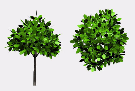 Picture of Landscaping Bush Model 2 FBX Format