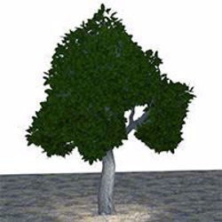 Large Green Tree Model Poser Format