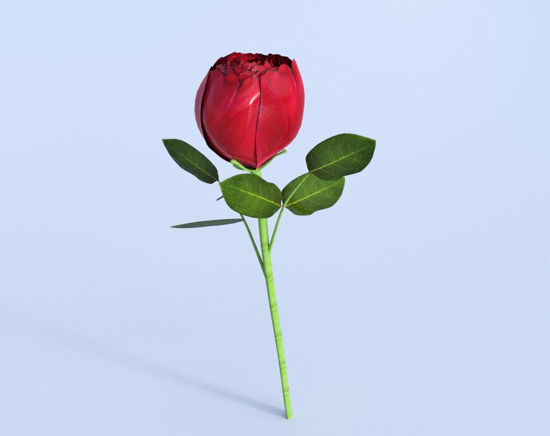Picture of Long Stem Red Rose Model Poser Format