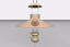 Picture of Oil Lantern Ceiling Light Fixture Model FBX Format