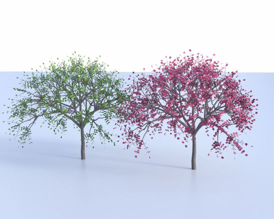 Picture of Red and Green Dogwood Tree Models Poser Format