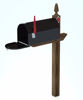 Picture of Residential Mailbox Model with Movements Poser Format