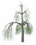 Picture of Weeping Willow Tree Model Poser Format