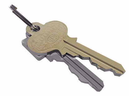 Picture of House Key Models Poser Format