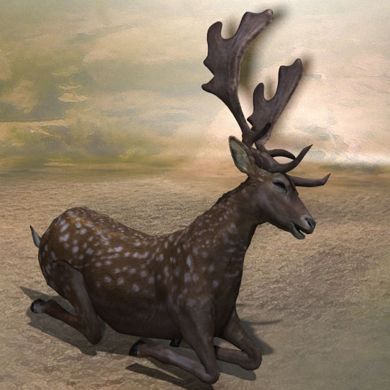 Fallow Deer, Bedding Pose (Figure for Poser)