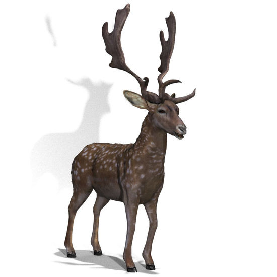 Fallow Deer (Figure for Poser)