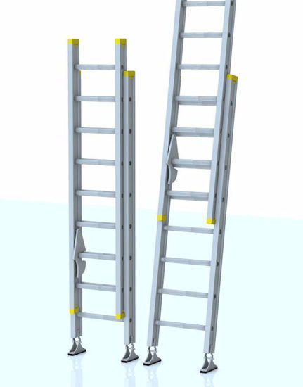 Picture of 16 Foot Extension Ladder Model Poser Format