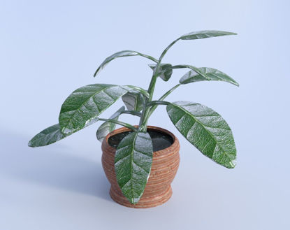 Picture of Artificial Ficus House Plant Model Poser Format