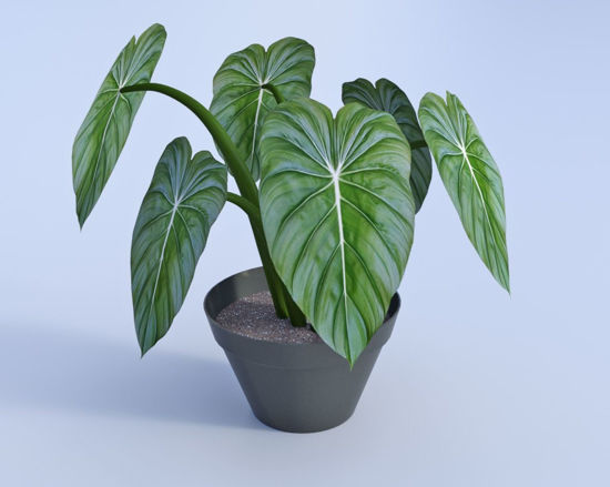 Picture of Artificial Potted Plant Model Poser Format