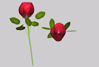 Picture of Long Stem Rose Plant Model FBX Format