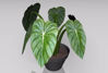 Picture of Artificial Potted Plant Model FBX Format