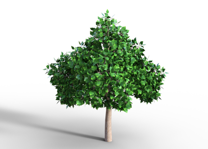 Picture of Big Shade Tree Model Poser Format