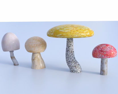 Picture of Mushroom Models Poser Format
