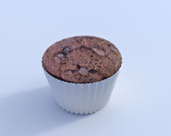 Chocolate Muffin Model Poser Format