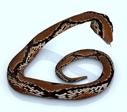 Picture of Poser Snake Figure Poser Format