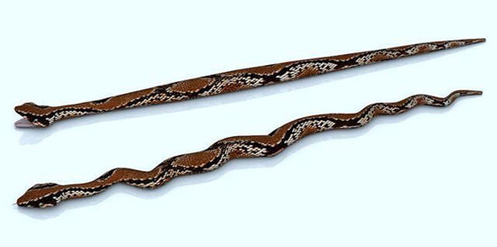 Picture of Poser Snake Figure Poser Format
