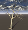 Picture of Dead Tree Model Poser Format