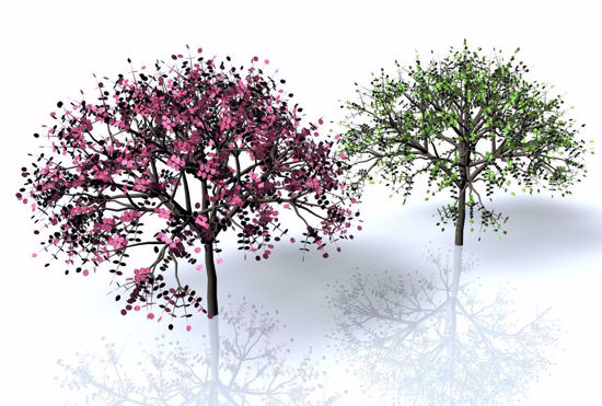 Picture of Dogwood Tree Models FBX Format