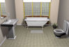 Picture of Residential Bathroom Environment FBX Format