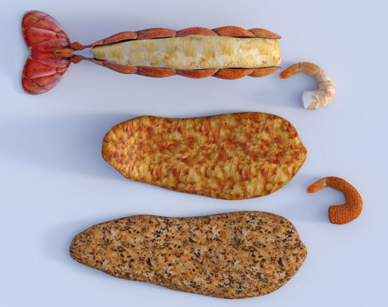 Picture of Seafood Models Poser Format
