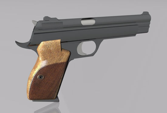 Picture of Sig Sauer P210 Pistol Model FBX Format