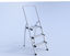 Picture of Step Ladder Model Poser Format