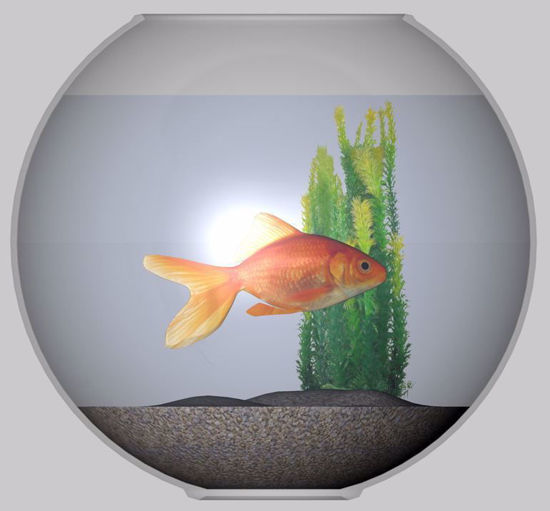 Picture of Gold Fish and Bowl Models Poser Format