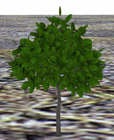Picture of Landscaping Bush Model 3 Poser Format