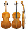 Picture of Violin and Bow Models Poser Format
