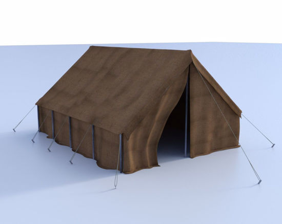 Picture of World War II Military Tent Poser Format