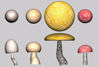 Picture of Mushroom Plant Models FBX Format