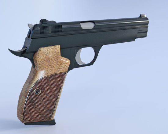 Picture of Sig Sauer P210 Pistol Weapon Model Poser Format