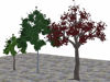 Picture of Three Medium Size Tree Models Poser Format