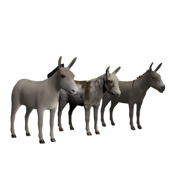Poserworld Donkeys (3 Figure Set)