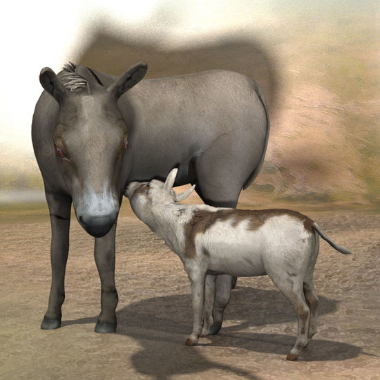 Poserworld Donkey and Donkey Colt figure for Poser