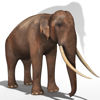 Indian Elephant (Figure for Poser)