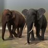 Indian and African Elephant (Figures for Poser)
