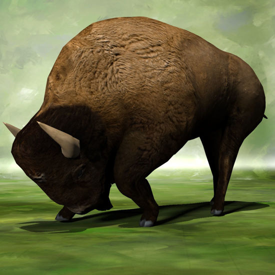 3D Bison figure (Buffalo) grazing for Poser by PoserWorld rendered in SuperFly