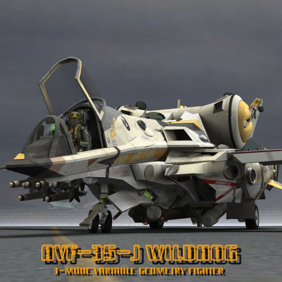 AVF-35-J Wildhog AVGF ( Mecha Aircraft Figure for Poser)