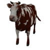 Cattle Multi- Breed (morphing figure & 12 cattle breed set for Poser), rendered in Firefly