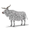 Cattle Multi- Breed (morphing figure & 12 cattle breed set for Poser), Texas Longhorn Steer rendered in Poser Superfly